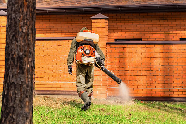 Trusted Termite Control service in Montrose, MN - Nex Pest Control